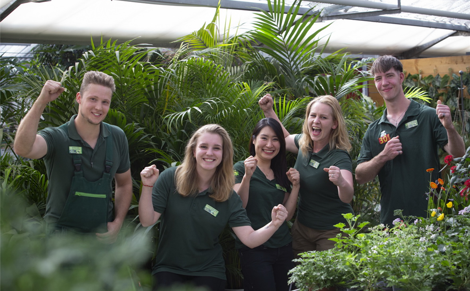 Tropica Team - Grün macht glücklich!