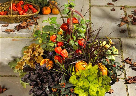 Herbstbepflanzung