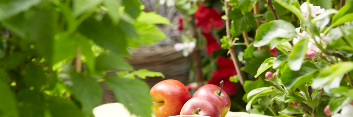 Pool_SAGAFLOR allgemein_Datei_2018-5-stimmung-obst_Art-Nr_-0-0-1334-2000
