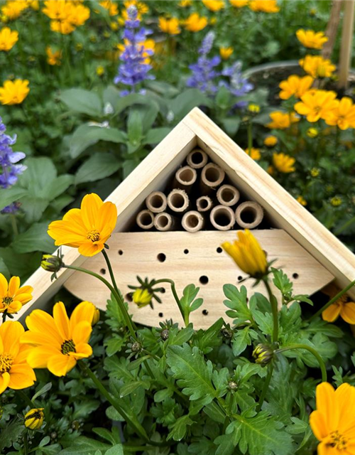 Kinder bemalen Insektenhotels (18.05. 10-17Uhr)
