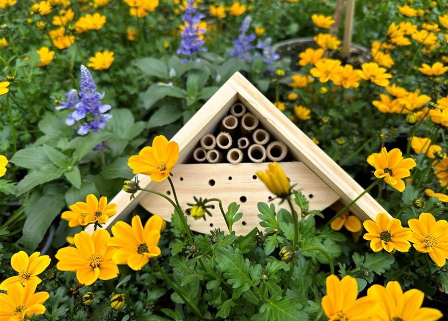 Kinder bemalen Insektenhotels (18.05. 10-17Uhr)