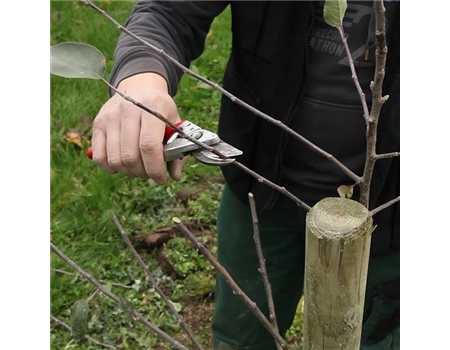 OKTOBER - JETZT GIBT ES NOCH MAL VIEL ZU TUN!