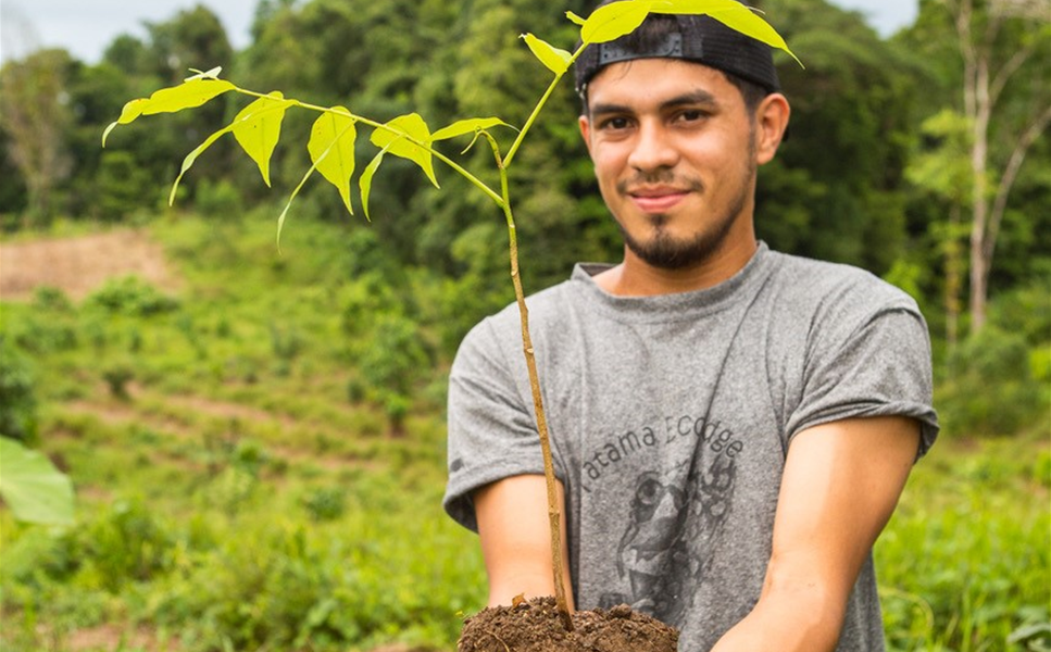 SCHUTZ TROPISCHER WäLDER - JETZT PATE WERDEN
