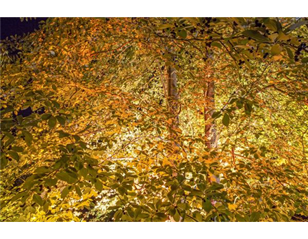 LICHTQUELLEN MACHEN DEN GARTEN SCHöNER!