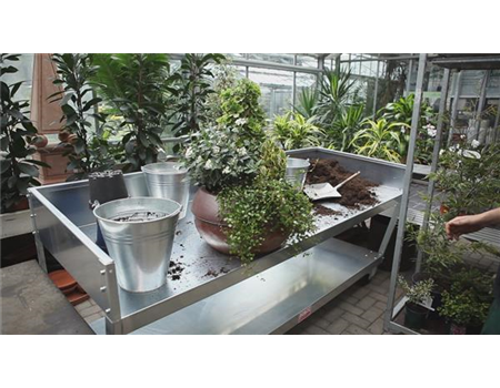 Blumenkübel - Dauerhafte Bepflanzung