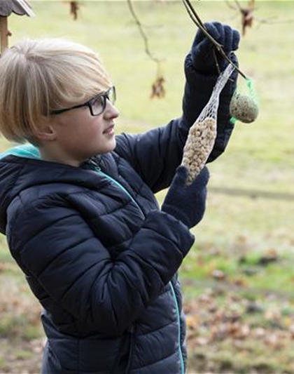 Hungrige Piepmätze im Winter füttern