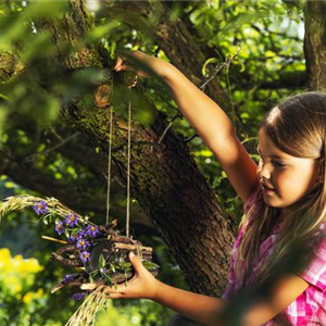 Vogelhäuser und -bäder