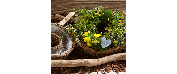 WIR KöNNEN FARBE! WIR KöNNEN FARBE!