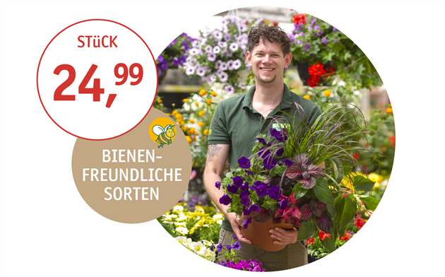 ORIGINAL TROPICA Brückentopf 2025