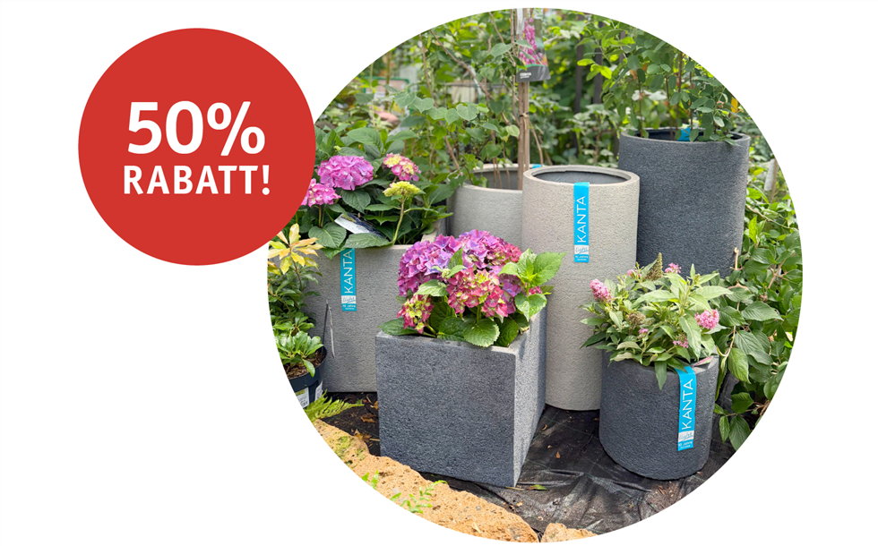 Kanta Light Gefäße jetzt mit 50% Rabatt