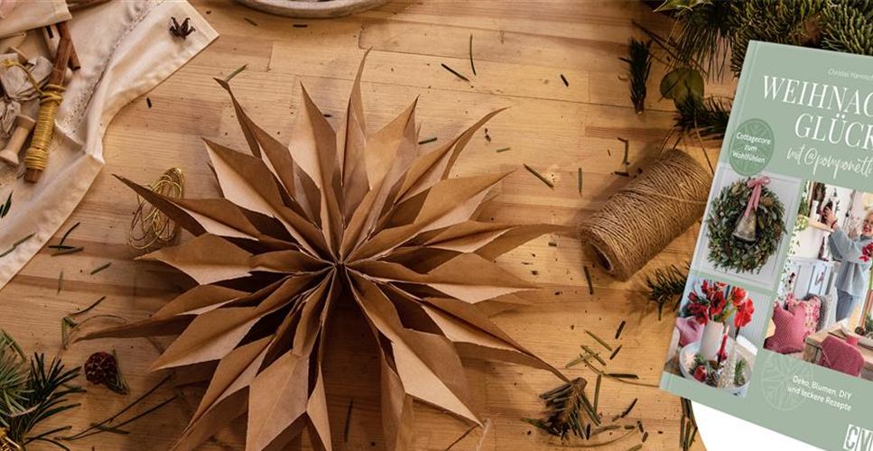 Buch des Monats: November!