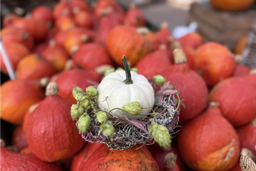 Workshop: Kürbis im Herbstnest (20.09.2025, 11+15 Uhr)