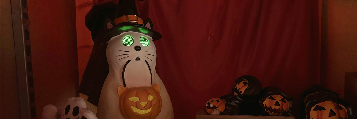 Kürbiszeit und Halloween Kürbiszeit und Halloween