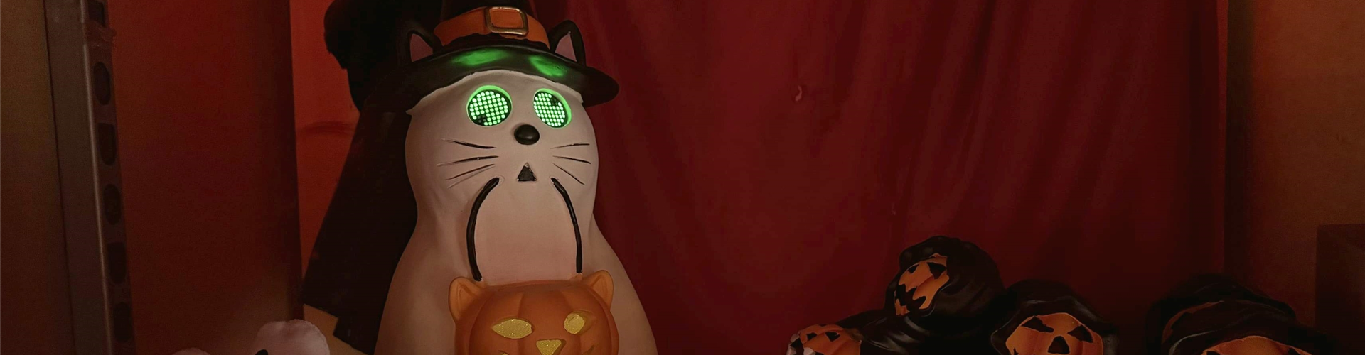 Kürbiszeit und Halloween