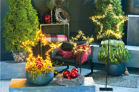 LICHTBLICKE IM WINTER-GARTEN!