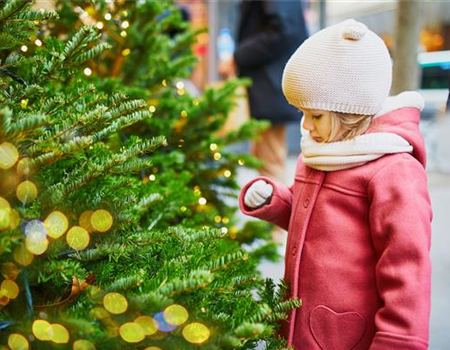 Christbaumverkauf Christbaumverkauf