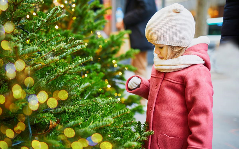 ©Ekaterina Pokrovsky@AdobeStock_398348951.jpeg ©Ekaterina Pokrovsky@AdobeStock_398348951.jpeg