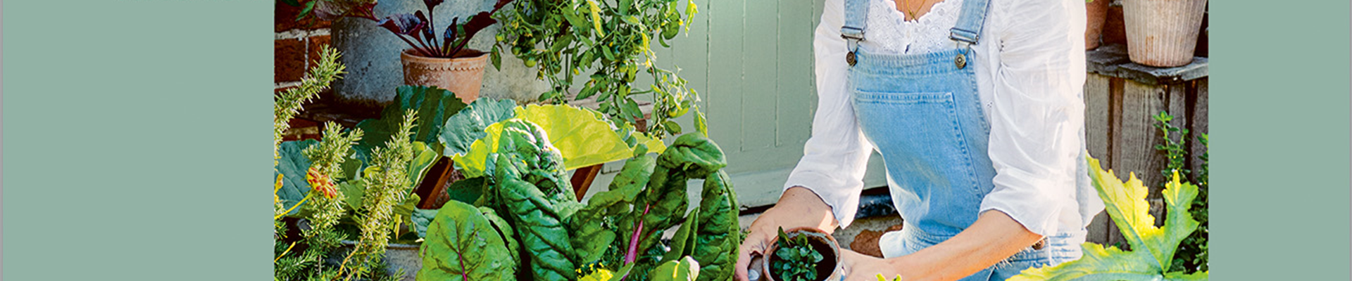 Buch des Monats: März!