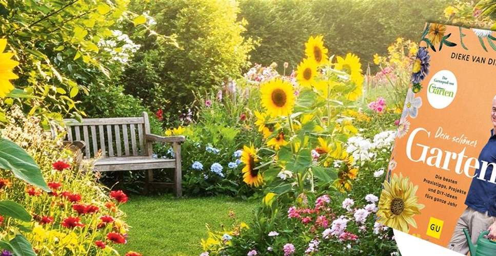 Buch des Monats: Februar!