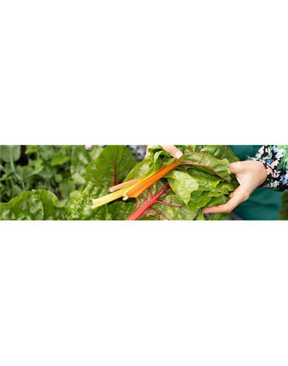 Buch des Monats: März!