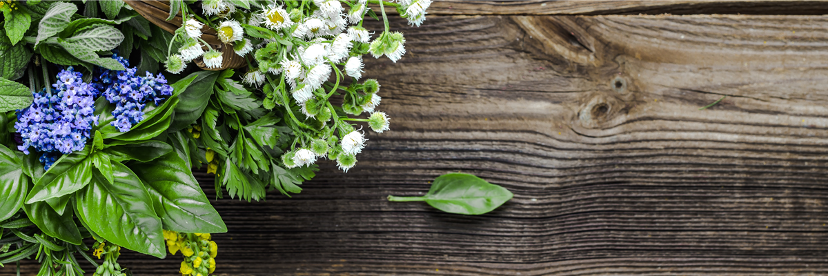 Buch des Monats: Juni!