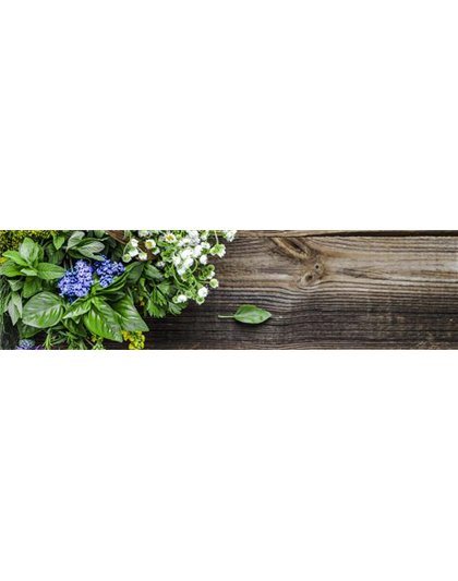 Buch des Monats: Juni!