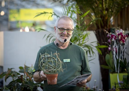 Pflanzen-Versteigerung