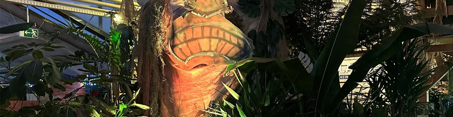 Magische Abende im Dschungel