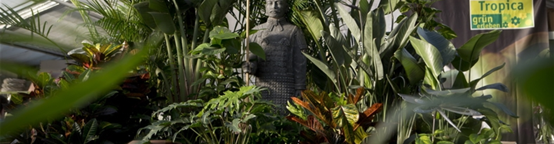 Pflanzenversteigerung 