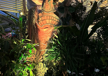 23.+24.1.2026: Tropic Lights