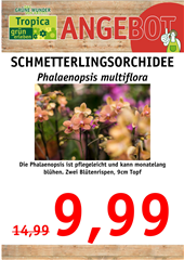 Top-Angebote! Gültig: 22.01.-31.01.2026