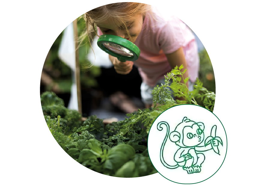 Kind mit Lupe in Kräuterbeet, daneben im einem kleinen Kreis ein Tierstempel mit einem Affenmotiv
