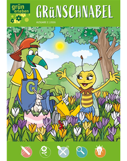 Ausgabe 2 2026