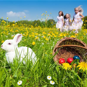 GROSSE OSTEREIERSUCHE