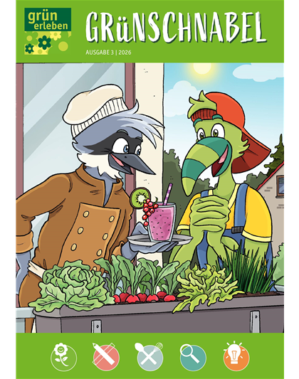 Ausgabe 3 2026