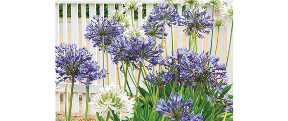 URLAUBSGEFÜHLE ZUHAUSE! 