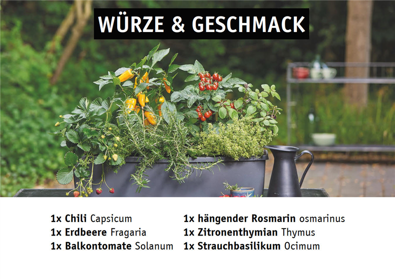 Gemüsepflanzen mit gelben Paprika, roten Kirschtomaten, Erdbeeren und frischen Kräutern in einem Balkonkasten auf einem schwarzen Tisch im Garten.