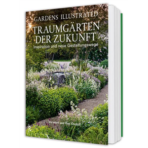 Buch des Monats: November!