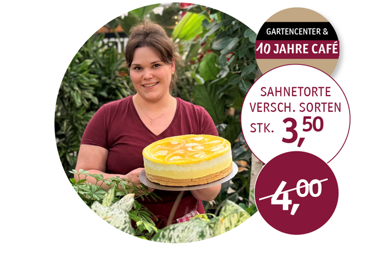 Café-Angebot: Stück Sahnetorte