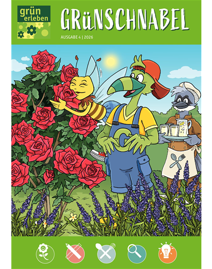 Ausgabe 4 2026