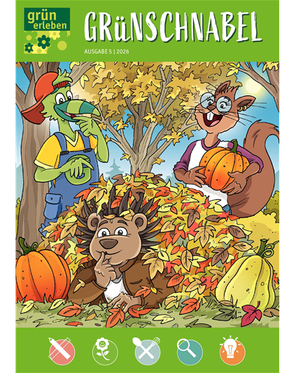 Ausgabe 5 2026