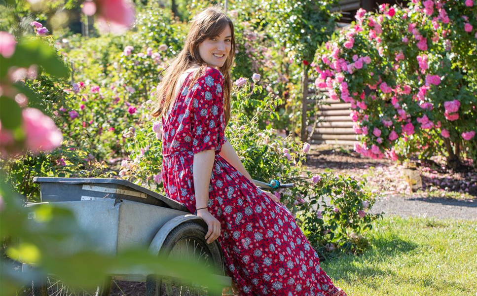 Ziergarten - GRäSER, STAUDEN UND CO. Ziergarten - GRäSER, STAUDEN UND CO.