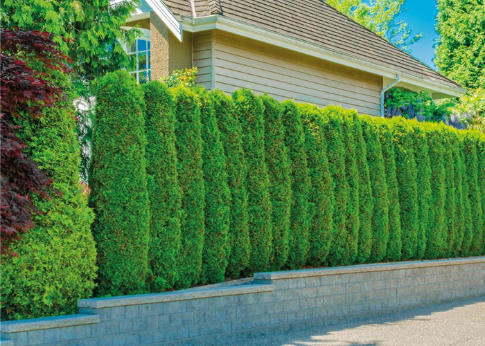 SCHICKE HECKE! SCHICKE HECKE!