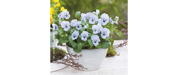 10 IDEEN ZUM VALENTINSTAG