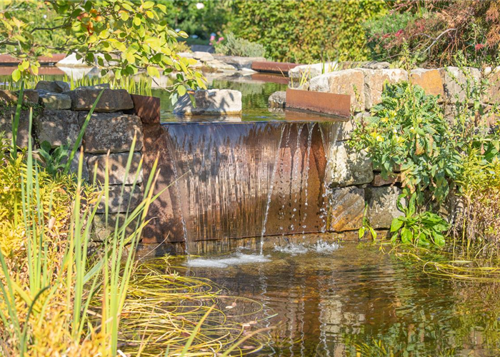 WASSERPFLANZEN FüR DEN GARTENTEICH