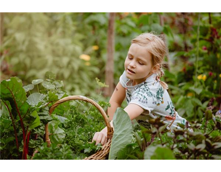 KINDER SPIELERISCH IN DIE ERNTE EINBEZIEHEN