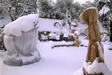 Überwinterung Überwinterung
