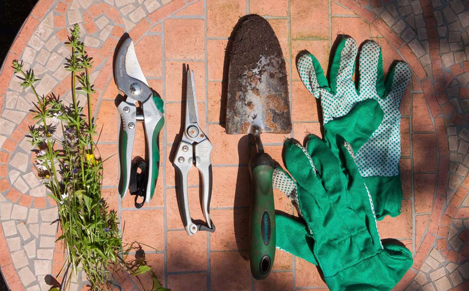 Grüne Träume werden wahr - Die Garten-Partner Grüne Träume werden wahr - Die Garten-Partner