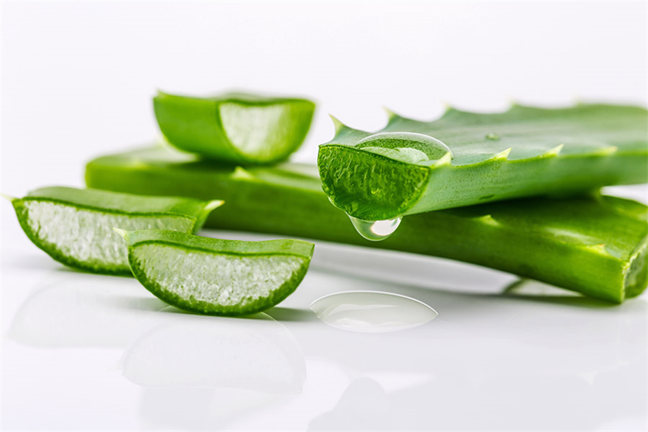 Aloe vera - Die Apotheke aus der Natur (Video)