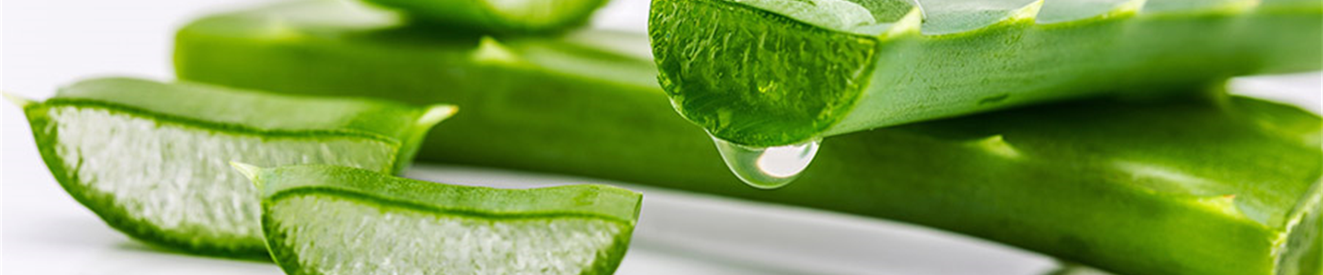 Aloe vera - Die Apotheke aus der Natur